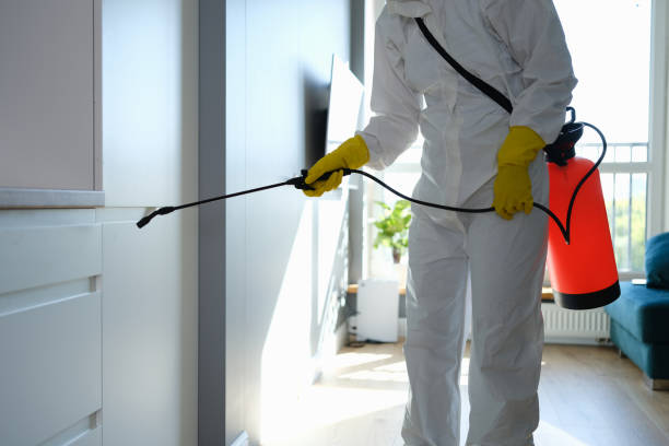 Water Damage Restoration in Homestead, FL